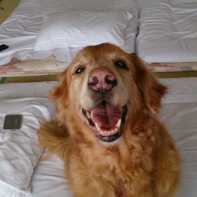 JoeKataoka1225's profile picture. 俳優 IT企画所属