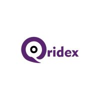 Qridex(@1qridex) 's Twitter Profile Photo