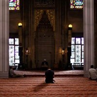 Osama Amer (@semsem0z) 's Twitter Profile
