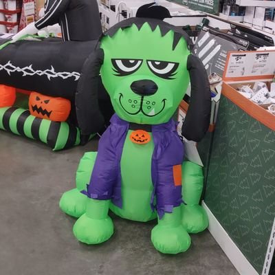 Toby 🌱さんのプロフィール画像