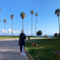 Antonietta Calì (@amaz_anto) 's Twitter Profile