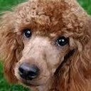 Lily Bain - @LilyBain778364 - Twitter