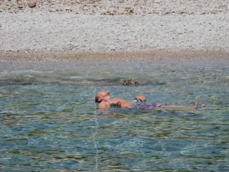 TheLiveXmasTree's profile picture. A mish-mash of trash, hash, splash and clash emigrating to THREADS: https://t.co/0H6PJQN7kd
and Mastodon; @christmastree@todon.eu