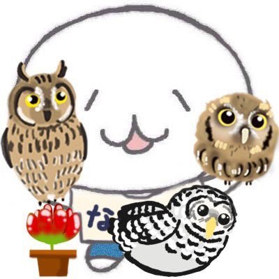 小規模ですが多肉植物の生産販売をしています。栽培場は非公開です。訪問は全てお断りしています。ヤフーオークションに毎週休まず出品中(^ω^) 栽培している植物の旬をお届けします。小雪さん(スピックスコノハズク2015年生まれ)とらぷぅ(トラフズク2016年生まれ)ちゃこも(ちゃこもりふくろう2017年生まれ)