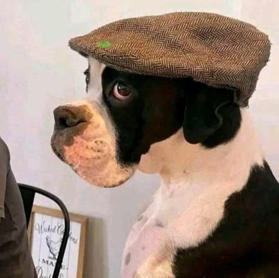 I Just Told Richie, We Rich 🤑| SneakerHead | | Petrol Head 🏎️ | Yanga Sc & Liverpool 4L.