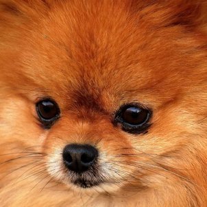 tanakataro73198's profile picture. 