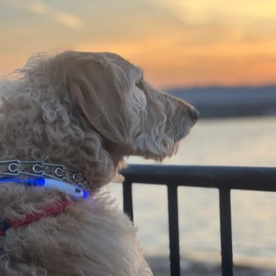 1dVf5B2l0sRHdNl's profile picture. 