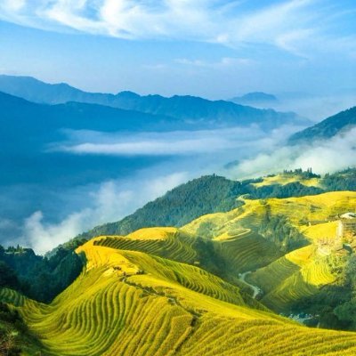 wanwanliu1997's profile picture. #LFGOAT ♦️