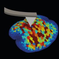 UK Plant Biomech (@ukplantbiomech) 's Twitter Profile Photo