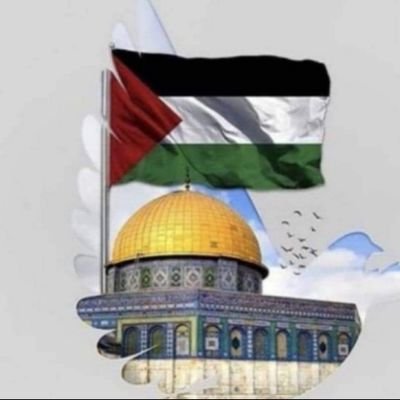 HmtJad's profile picture. مسلمه وافتخر