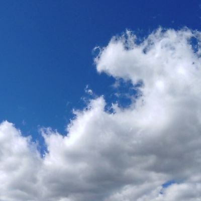 がんすりんが～さんのプロフィール画像