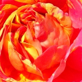 HighwayX19's profile picture. 艶をあつめて