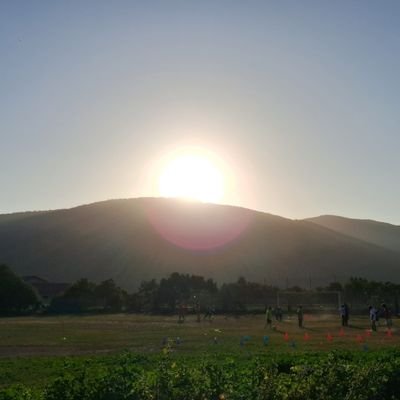 _felipemix_'s profile picture. Y ya también el hacha está puesta a la raíz de los árboles; por tanto, todo árbol que no da buen fruto es cortado y echado en el fuego.
Mateo 3:10 🌳🪓 biblico