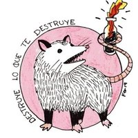 Punished Possum (@punished_possum) 's Twitter Profile
