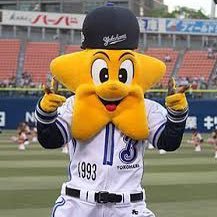 野球が好きだ！ ベイスターズと神奈川の高校野球が特に好きです！
