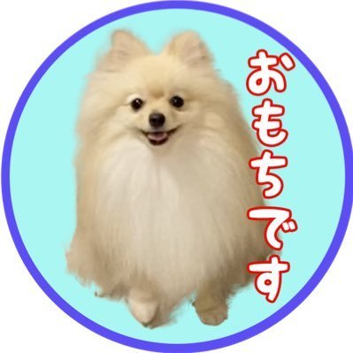 omochi_channel_ Profile Picture