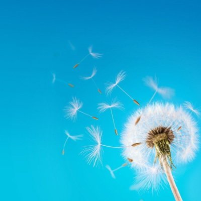 aiximaizi's profile picture. The fresh breeze blows gently.