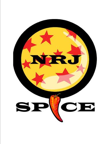 Chef/Owner NRJSPICE FOOD LLC