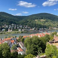 F.S. (@signorms) 's Twitter Profile