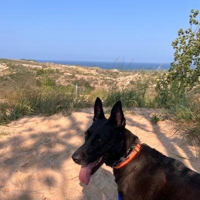 oldenglishdc's profile picture. #DCTID