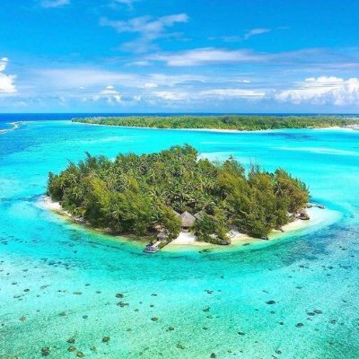 HPosika's profile picture. bevm#LFGOAT ♦️