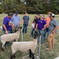 Jerry Johnson (@jjffa) 's Twitter Profile