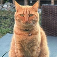 OĞUZHAN ATEŞ (@oguzhanates0674) 's Twitter Profile
