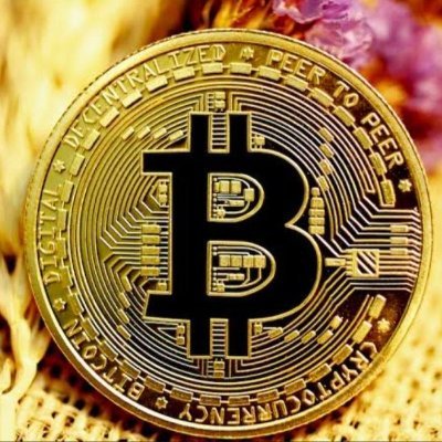 crypto invester $FAR $FAN Maxi Reddio (🧙♂️,🧙♂️) gnoma