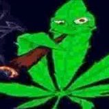 user17442017's profile picture. everyone needs a burner account