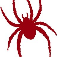 NCspider73 Profile Picture