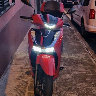 TcglTomas's profile picture. 