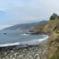 Biogeography.News (@jbiogeography) 's Twitter Profile
