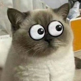 kell62930's profile picture. 