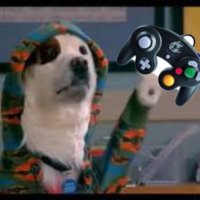 SSBMDogWithABlog (@ssbmdogblog) 's Twitter Profile