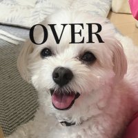 Nao♡DM 3/1.2名古屋5/17大阪アリーナ参戦🔥‼️ (@chiffon_0329_) 's Twitter Profile