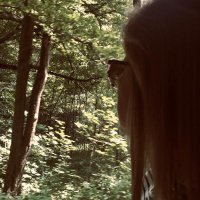 Maite M.Q. (@tetxu9544034612) 's Twitter Profile Photo Maite M.Q. (@tetxu9544034612) 's Twitter Profile Photo