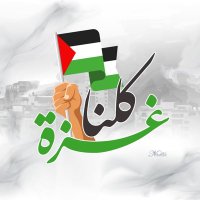 Alaa Hammudeh (@alaahammoudeh) 's Twitter Profile