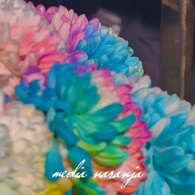 ML990112's profile picture. 