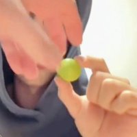 머스켓 (@bintietiehao) 's Twitter Profile Photo