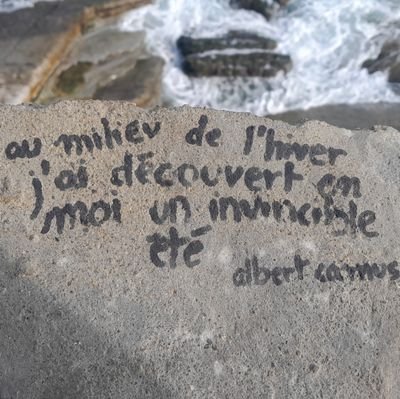 professeur d'histoire géographie au lycée Albert Camus de Conakry, docteur en histoire.