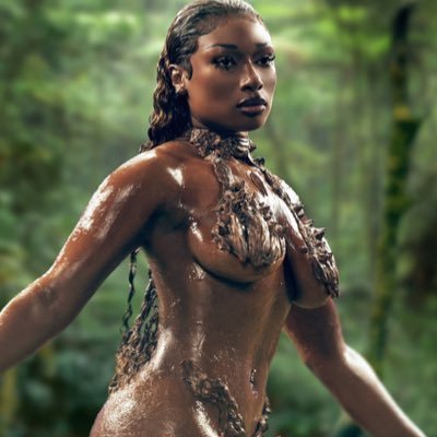 theestallion twitter avatar