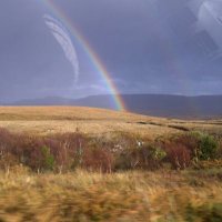 Rainbows Bereavement Support Scotland(@MarieRainbowsgb) 's Twitter Profile Photo