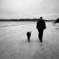 Pete Scutt (@scuttpete) 's Twitter Profile