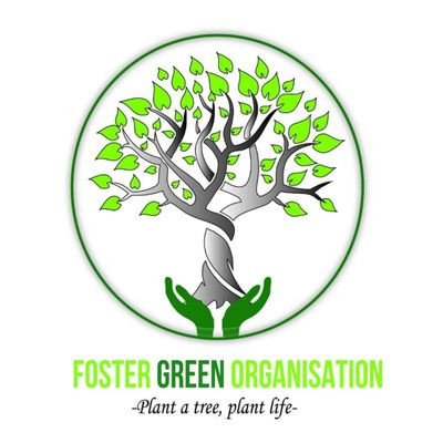 fostergreencbo's profile picture. 