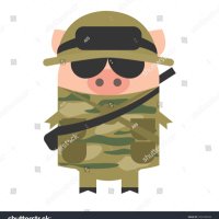 army piggy(@BuhibuhKk) 's Twitter Profile Photo