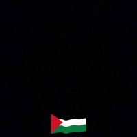 Mai Mahmoud (@maimahmoud772) 's Twitter Profile