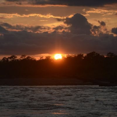 ZAR_Kopite's profile picture. There's nothing you can do that can't be done