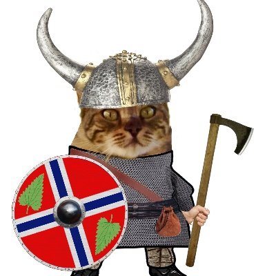 Lars the WokeViking 🇳🇴🇺🇦💉 #NAFOCatsDivision