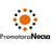 PROMOTORA NECSA