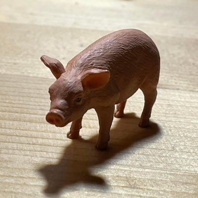 洛冉霜🐷台湾人さんのプロフィール画像